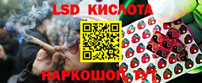 индика Лесосибирск