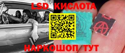 индика Лесосибирск