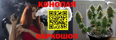 индика Лесосибирск