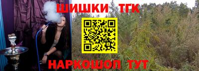 индика Лесосибирск