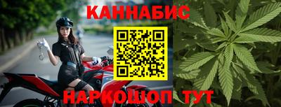индика Лесосибирск