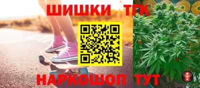 индика Лесосибирск