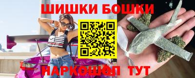 индика Лесосибирск
