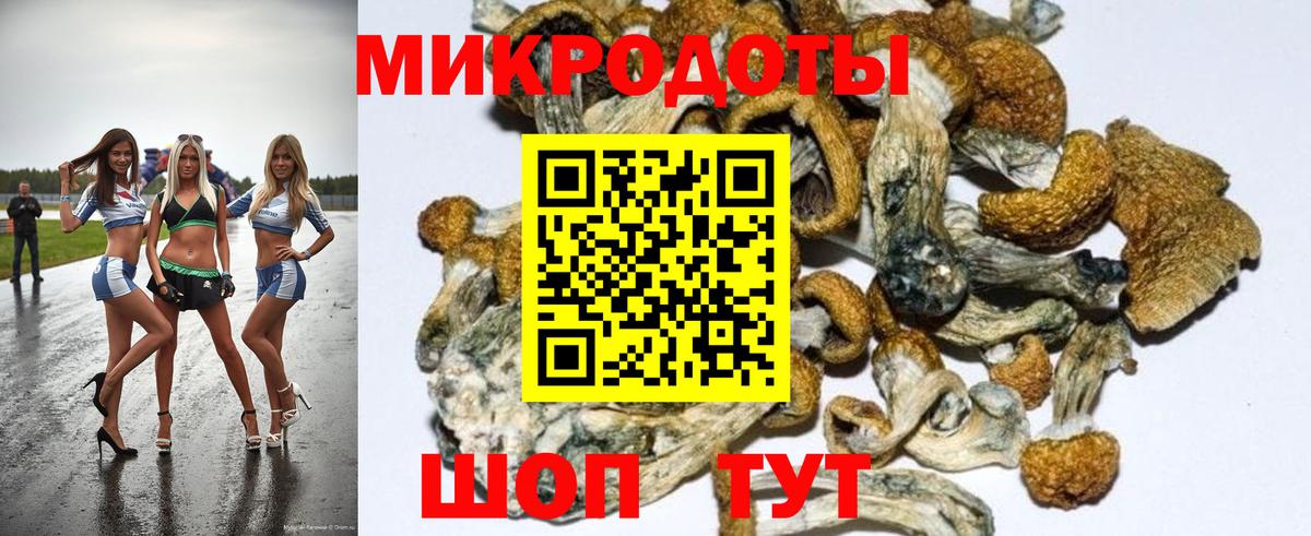 Галлюциногенные грибы MAGIC MUSHROOMS  Псилоцибиновые грибы Magic Shrooms  Вход с VPN  Вольск 