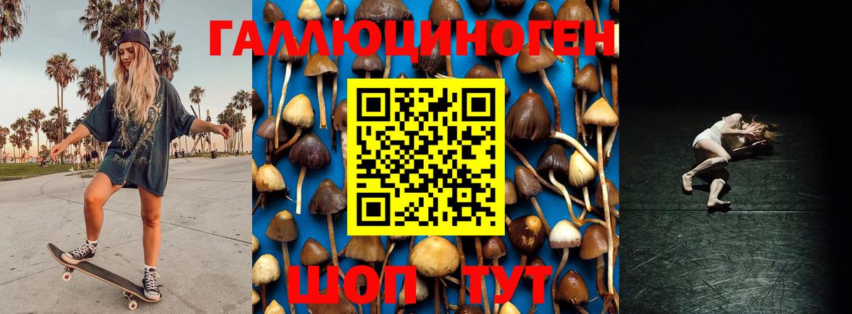 Псилоцибиновые грибы MAGIC MUSHROOMS Вольск