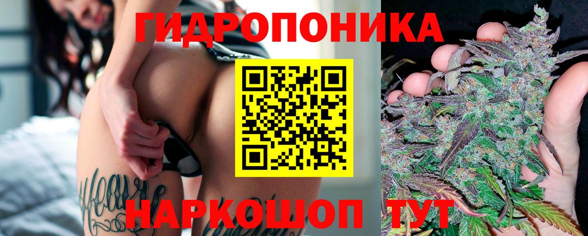 Канабис конопля  Вход с VPN  Вольск  Конопля AK-47  Бошки марихуана AK-47 